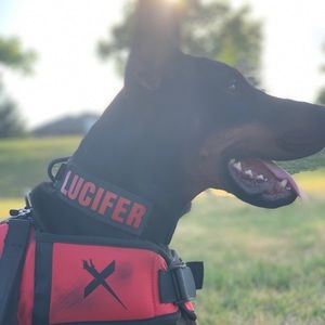 Meet your Posher, Angel